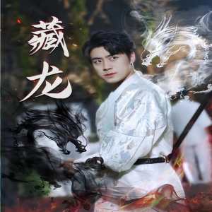 藏龙74集版全集(大结局)