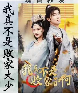 我真不是败家大少全集(大结局)