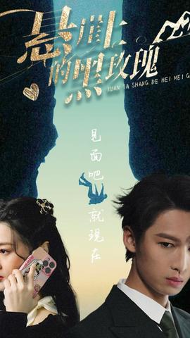 悬崖上的黑玫瑰101集全集(大结局)