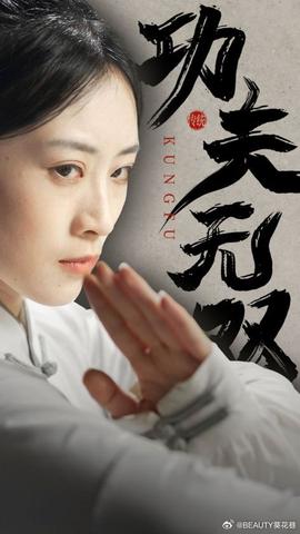 功夫无双全集(大结局)