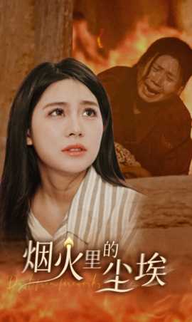 烟火里的尘埃全集(大结局)