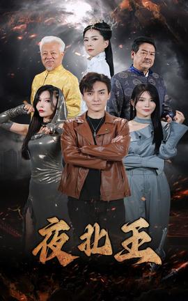 夜北王全集(大结局)