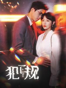 犯了规全集(大结局)