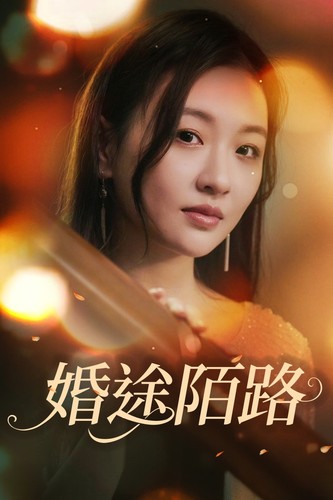 婚途陌路全集(大结局)