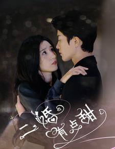 二婚有点甜全集(大结局)