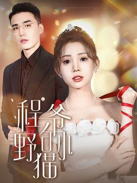 程爷的小野猫合集版