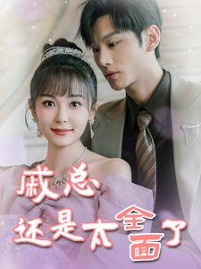 戚总还是太全面了全集(大结局)