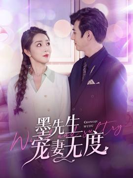 墨先生宠妻无度全集(大结局)