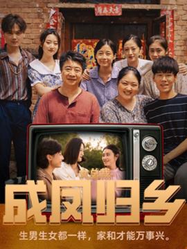 女总裁成凤归乡第01集