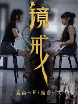 镜戒全集(大结局)