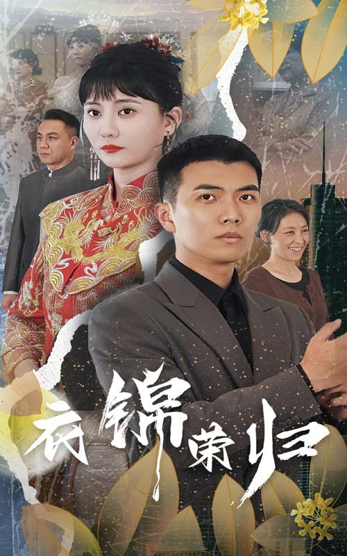 衣锦荣归第51集